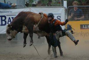 HARD LANDING AHEAD:  Tony Burtenshaw comes unstuck at last year's New Year's day rodeo.