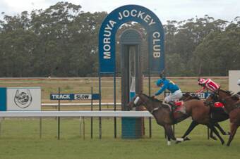 HOME RUN: Peter Robl brings Moruya’s Midnight City home to victory in Monday’s Moruya Cup.