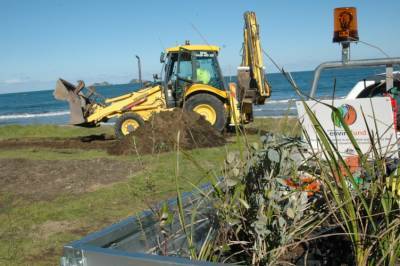 FAST WORK: Council staff removed the Long Beach Dunecare plants, to be returned to the Botanic Gardens, on Tuesday, and took down fences before a bulldozer moved in to clear the area.
