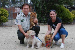 HAPPILY HOMED:  Eurobodalla Shire Council chief ranger Phil Clark with daughter Kerrie and her adopted Pound pooches, Phoebe, Jay and Pete.