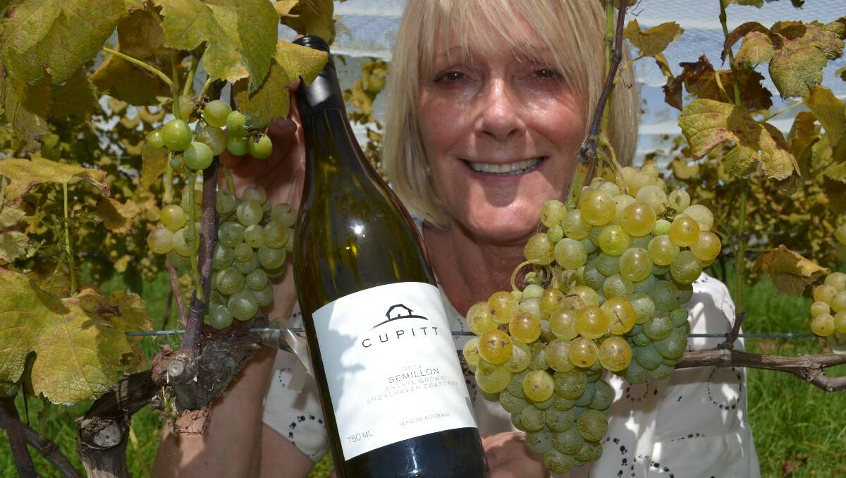 ULLADULLA: Rosie Cupitt with her gold medal-winning 2013 Semillon that starred in the South Coast Wine Show, and the ripe 2014 Semillon grapes she hopes will yield more winning wines following the vineyard’s best season ever.