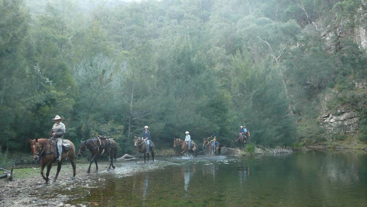 THEY’RE BACK: Horse riders will be able to return to historic bridle-tracks like this one in the Deua River area under a pilot program announced by the State Government.