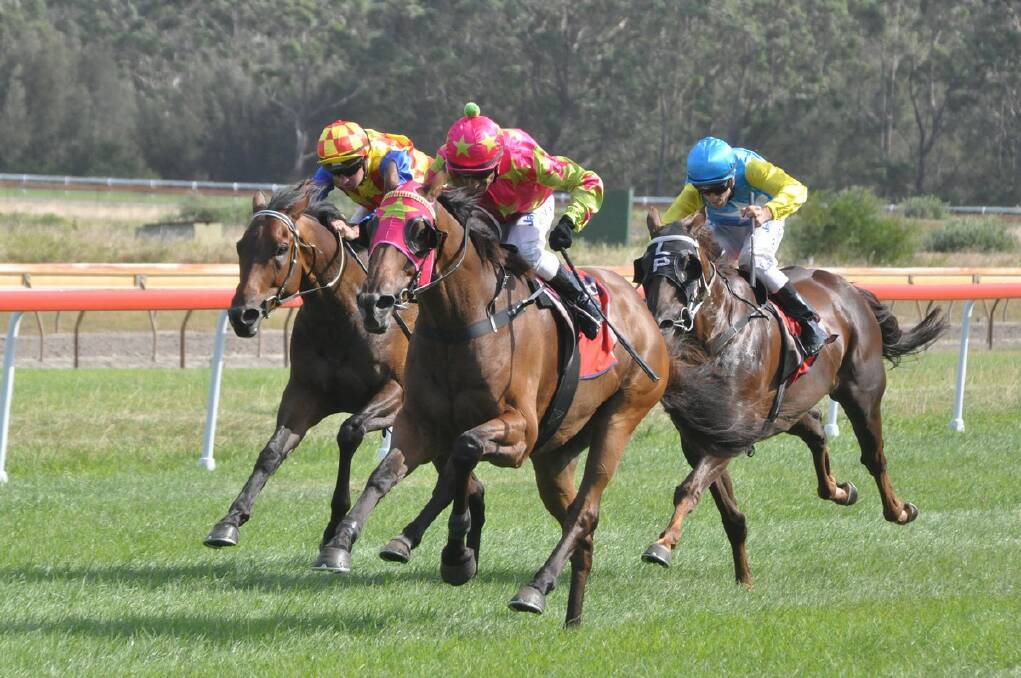DOUBLE SWOOP: Jeff Penza and Fair Nation (centre) lead from Dolphi’s Boy (left) and Luke Pepper’s Gregory’s Fortress (right) on the home straight of the Moruya Cup. PHOTO: Dean Benson.