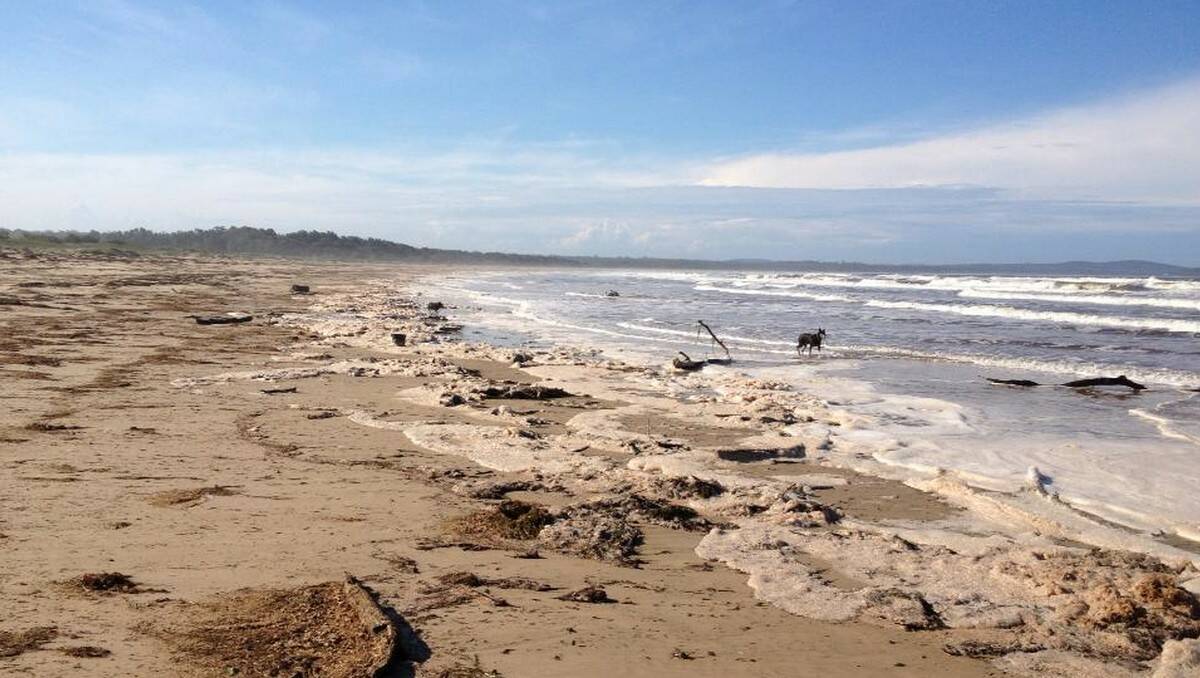 THE AFTERMATH: Cathie Cahill sent in this picture of Moruya North Head beach after the storm.