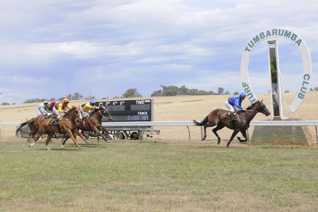 HALF DECENT: John Peiti’s Halfashot, with Brad Clark in the saddle, strides out comfortably to win the Tumbarumba Cup on Saturday. PHOTO: Bradley Photographers.