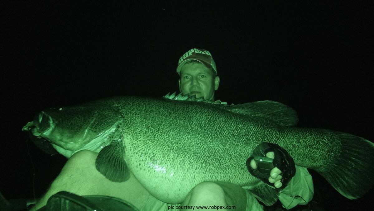 WOW: Rob Paxevanos with a giant kayak cod. The Murray cod is Australia’s largest freshwater fish. PHOTO: www.robpax.com. 