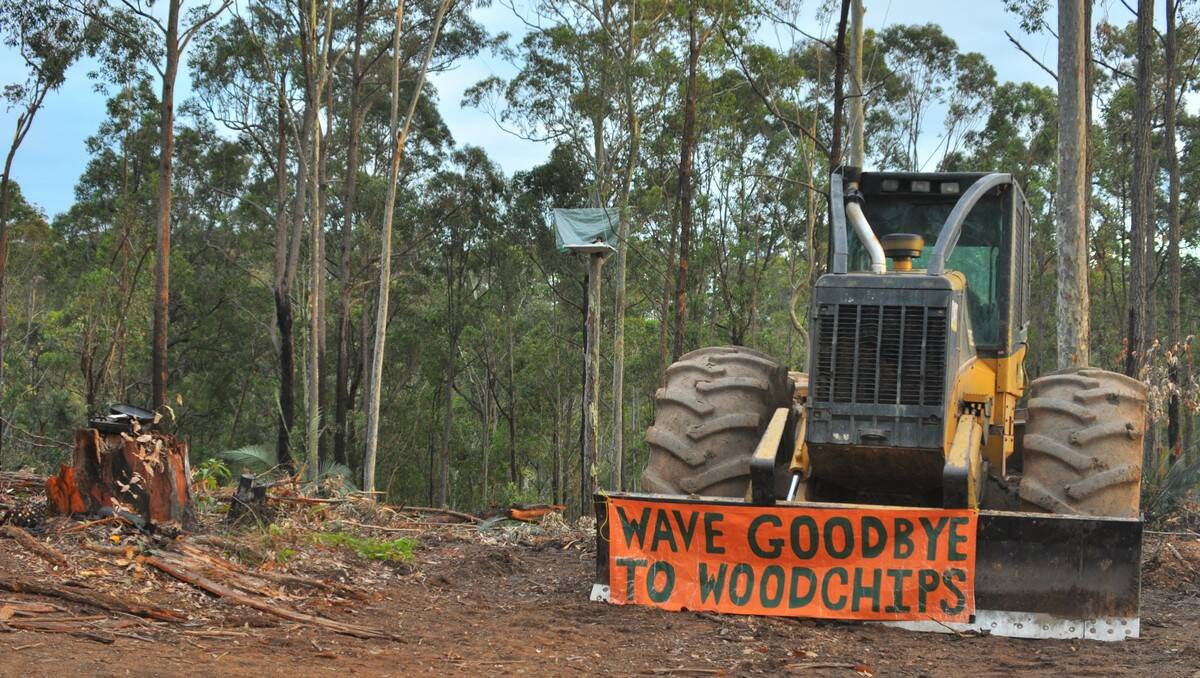 CABLE DISABLE: The scene at the Boyne State Forest north of Batemans Bay on Tuesday where activists connected logging vehicles to tree-sitting platforms with steel cable.