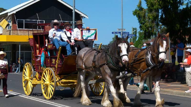 PROUD PARADE: Heavy horse’s strut their stuff in last year’s Moruya Jazz Festival parade. The festival kicks off again on October 18.