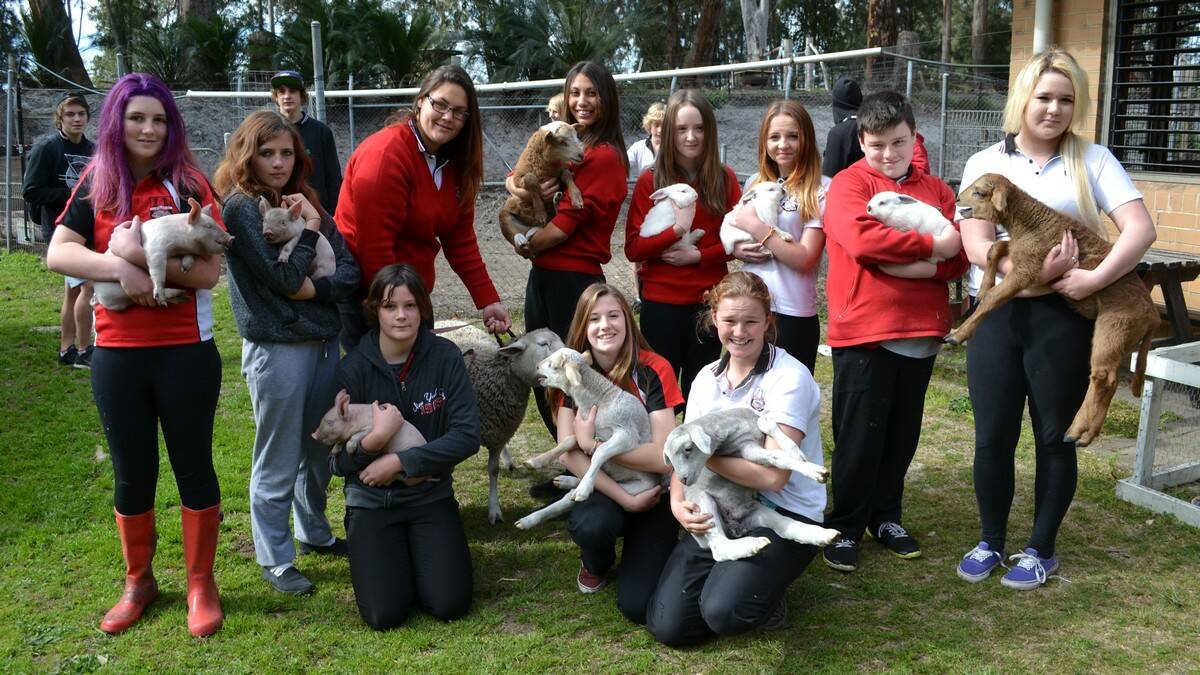 ARKED UP: Batemans Bay High School students Caitlin Maguire, Tanni Hoadley, Katlin Reynolds, Melissa Bertosa, Marissa Allen, Kiera Xuereb, Hayley Dunn, Ruby Dunn, Jackson Bennett, Paige McPherson and Jessica Taber with some of the school’s four-legged friends from the agricultural area.