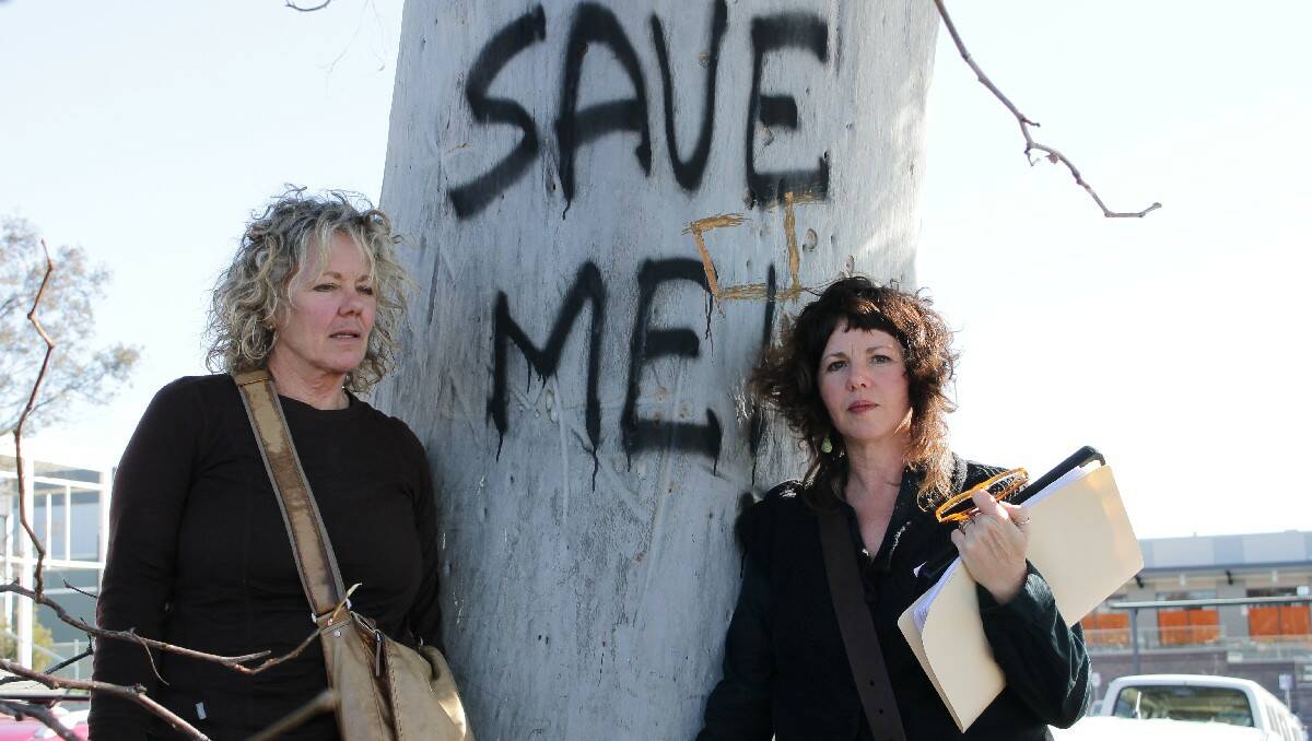  BEGA: Harriett Swift and Jo Dodds stand beside the last remaining gum tree in Littleton Gardens. Its branded message seems prophetic as a council vote on Wednesday resolved to leave the tree standing, for now.