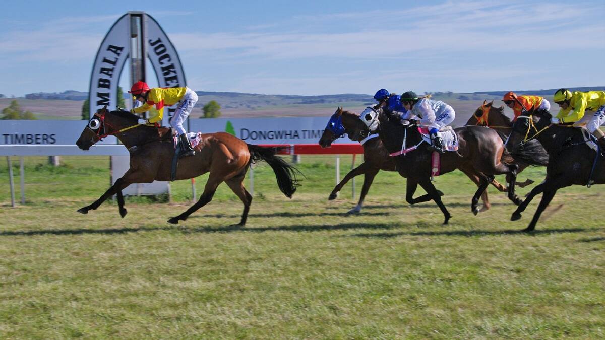 BOMBALA: A previous winner of the event, Back to Zero, trained by Barbara Joseph and Paul Jones, won the prestigious   $12,000 Dongwha Timbers Bombala Cup at the Bombala Races on Saturday under sunny skies before a huge crowd.