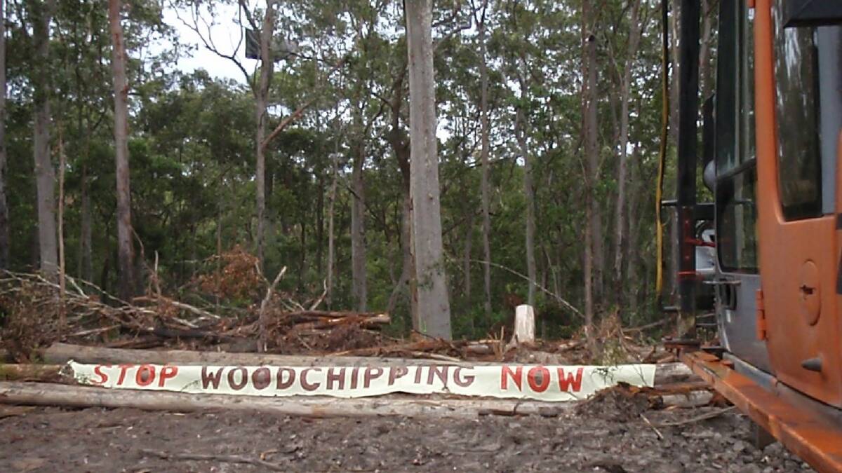 Protesters have halted logging activities on the South Coast.