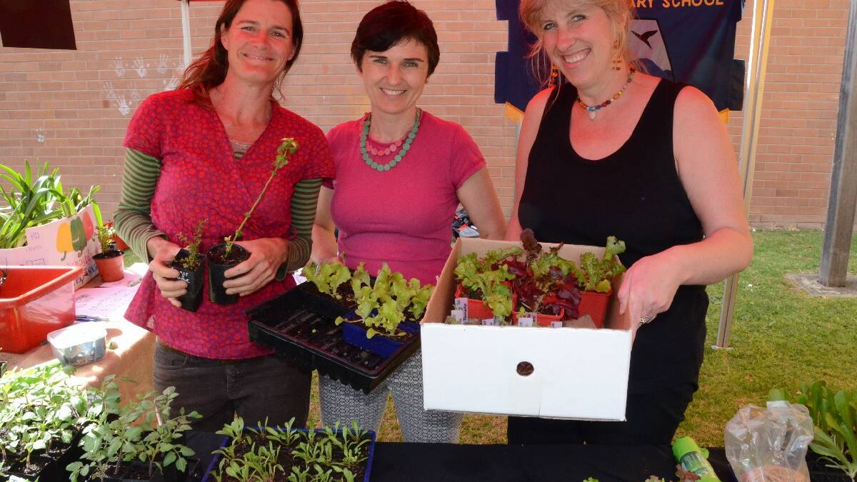 Kirsty Wilkinson, Belinda Bain and Monika McInerney sold plants to raise funds for the Moruya Public School kitchen garden this morning.