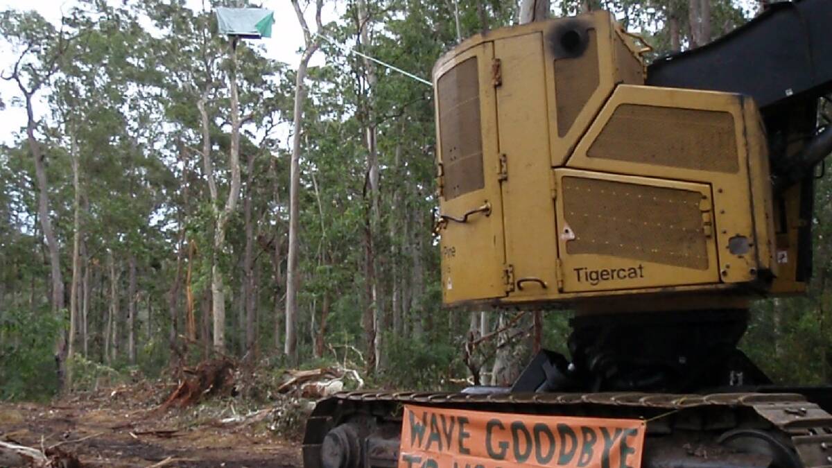 Protesters have halted logging activities on the South Coast.