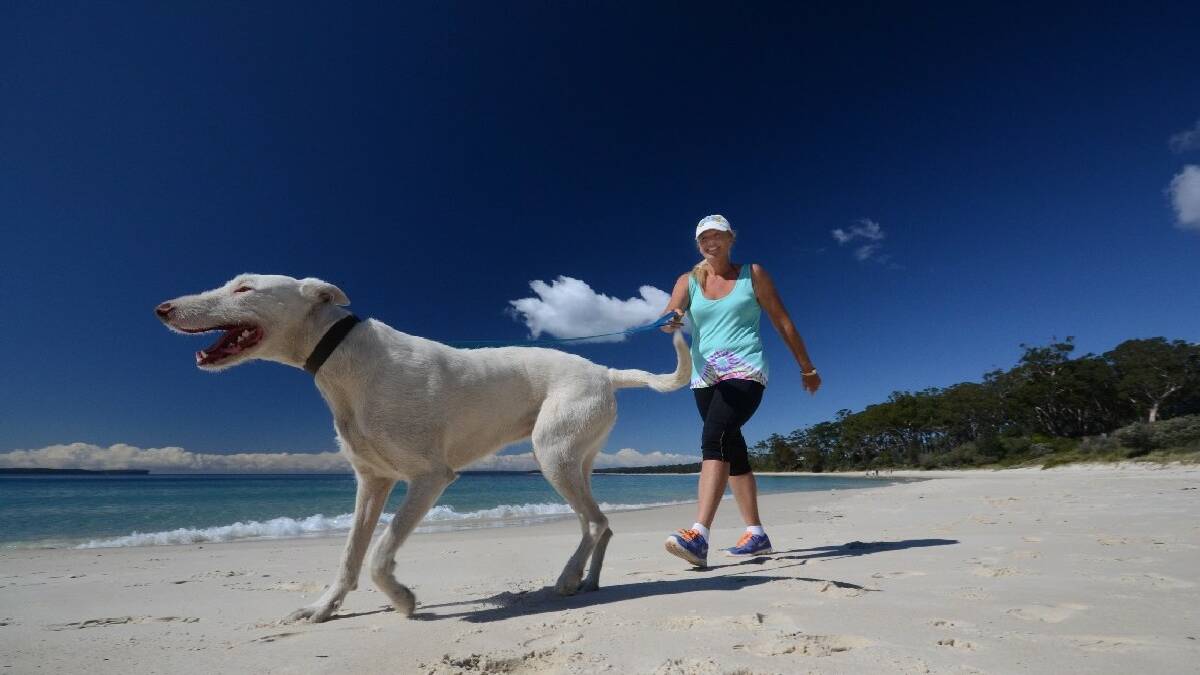 NOWRA: Melissa McManus from Woollamia with Smoothy the wonderdog makes the most of Huskisson Beach during on and off leash designated times. University students have been looking   into how to better educate the community on off leash areas and times.