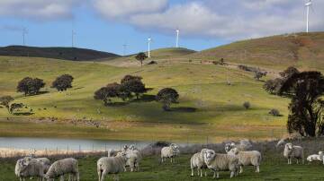 Off the current capacity of renewable projects in the application stage, 40 per cent are from NSW. Picture by Shutterstock.