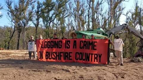 FIGHT CONTINUES: The Brooman State Forest Conservation Group protesting the logging at the Mogo State forest in December 2020. Image: supplied: