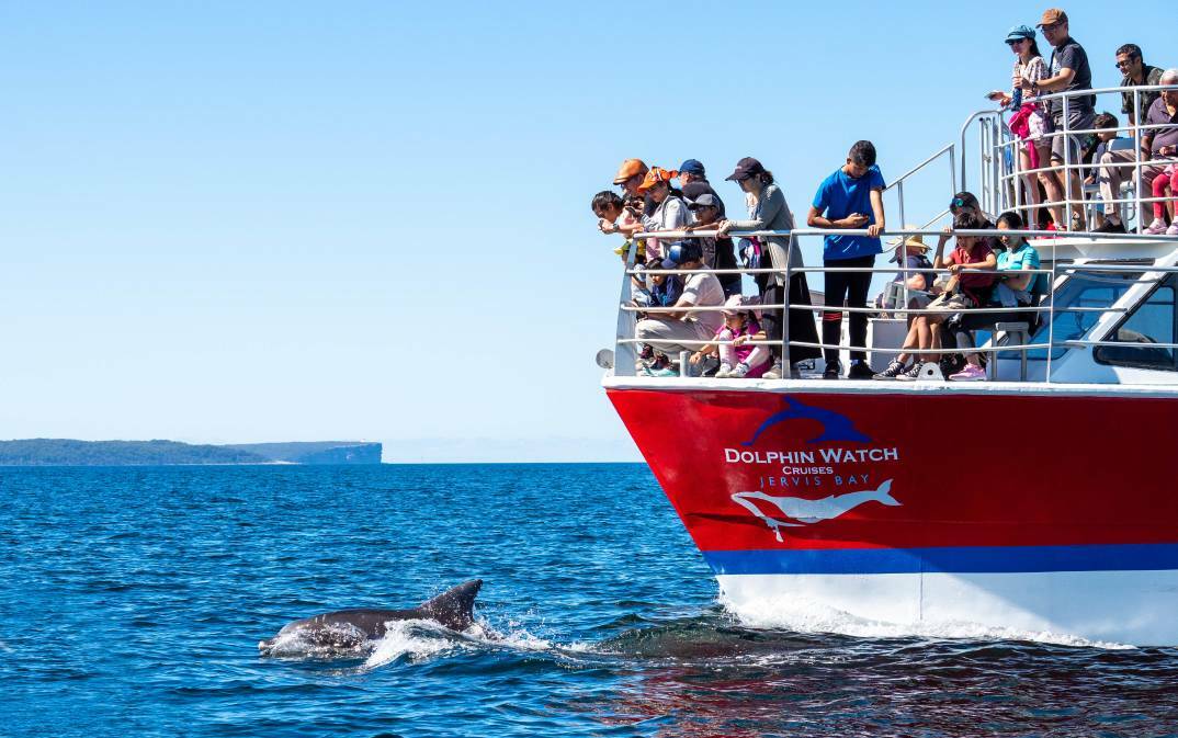 SKILLED WORKER SHORTAGE: At this time of year, Dolphin Watch Cruises usually operate four boats per day, five times each, according to manager Jet Jones. File image. 