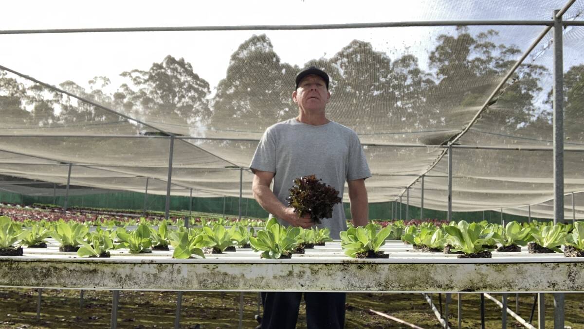 Far South Coast lettuce and greens grower Larry Sher at his property in Millingandi. Photo: supplied