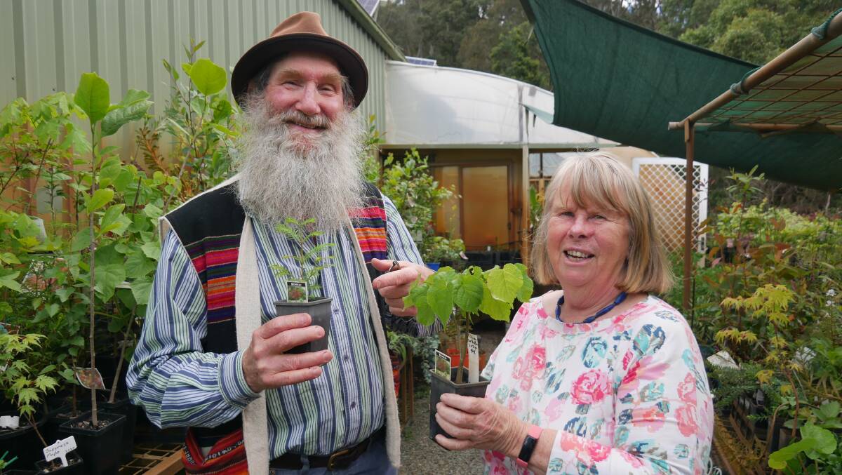 Semi-retired Bridge House Nursey owners Don and Fiona Firth from Brogo hold a pair of saplings destined to be sold to raise money for research into cystic fibrosis. Picture by Ellouise Bailey 