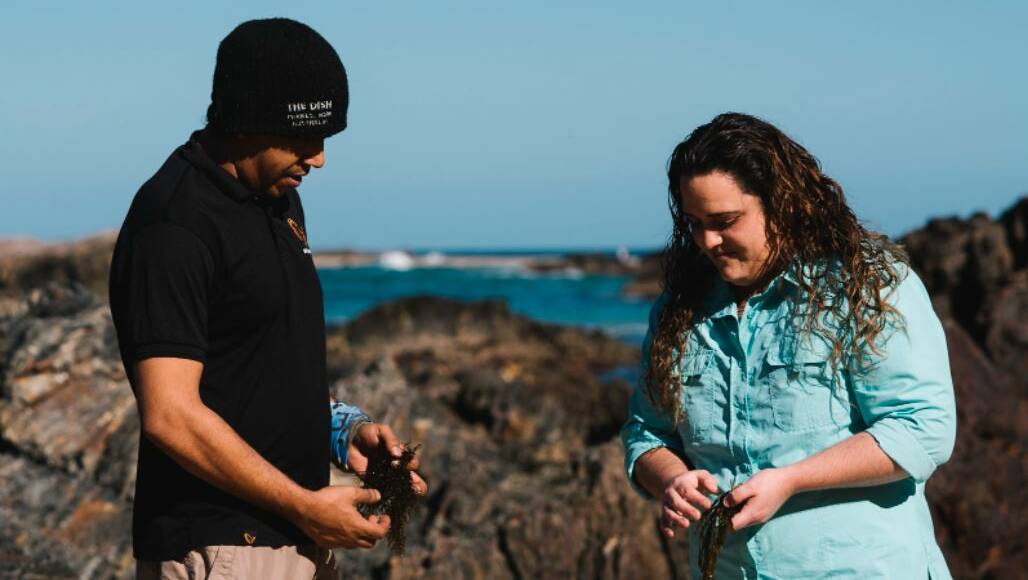 Owners of South Coast Seaweed James Thomas and Sarah Thomas started their business venture to reconnect with culture. The couple has a vision to create a viable seaweed industry on the Far South Coast of NSW. Photo: Sunbird Photography