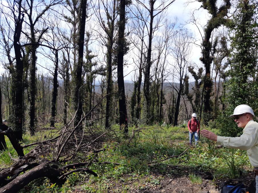 Volunteers survey burnt habitat in the Dampier State Forest. Photo: Supplied. 