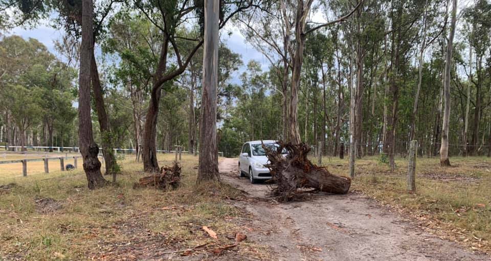 The club had to pay for the removal of large tree stumps which had been moved into the driveway and blocked access to canteen area. Photo: Moruya Pony Club
