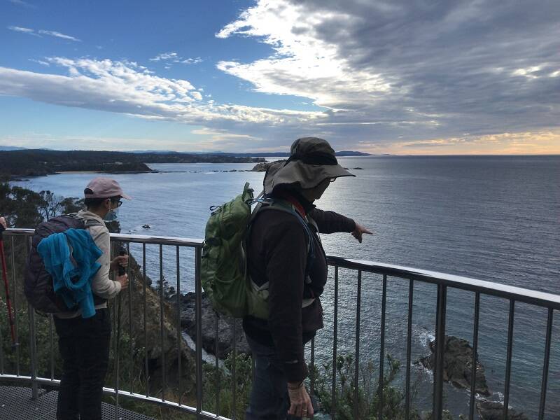 The Guerilla Bay walk features a viewing platform where you can try spot a fur seal basking on the rocks, or perhaps spot a whale in migrating season. Picture: Batemans Bay Bushwalkers. 