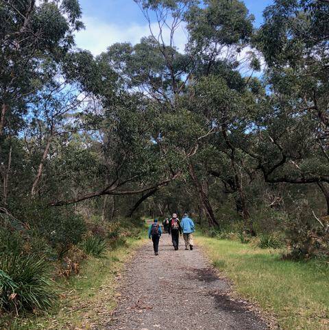 The Bengello Beach track is easy to find and flat most of the way. Picture: Batemans Bay Bushwalkers. 