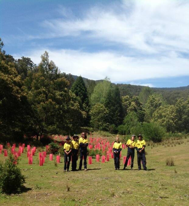 In 2019, the Green Army helped to plant hundreds of trees up the Deua River Valley. Photo: Supplied.