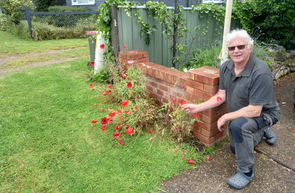 Graeme Russell with the poppies he has grown for Remembrance Day.