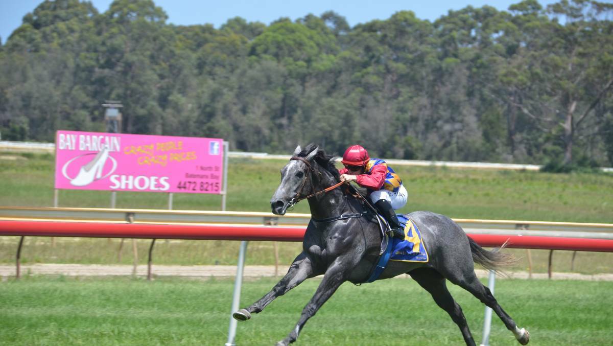 Le Cavalier during its winning run at the 2019 Narooma Cup.