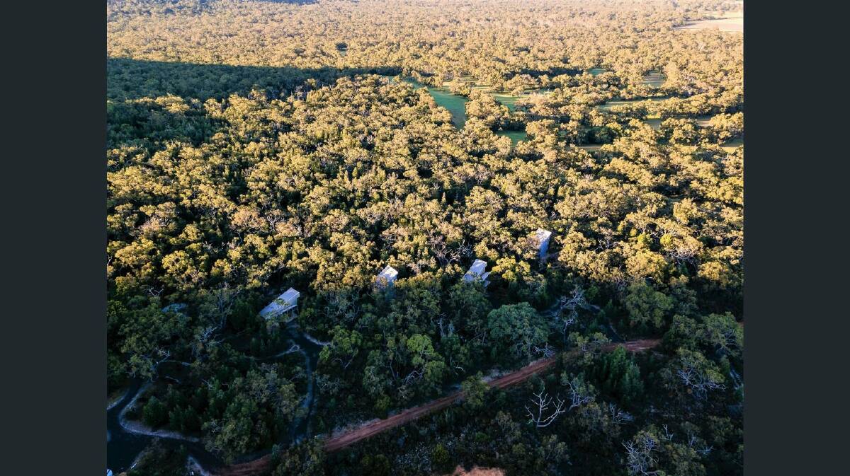 The lodges are nestled among the trees and border the Grampians National Park. Picture: Supplied 