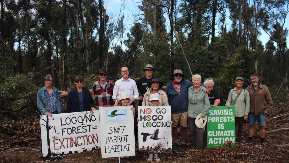 Greens senator David Shoebridge with Friends of Mogo supporters during a recent visit to a logged area of Mogo State Forest. Picture: James Tugwell
