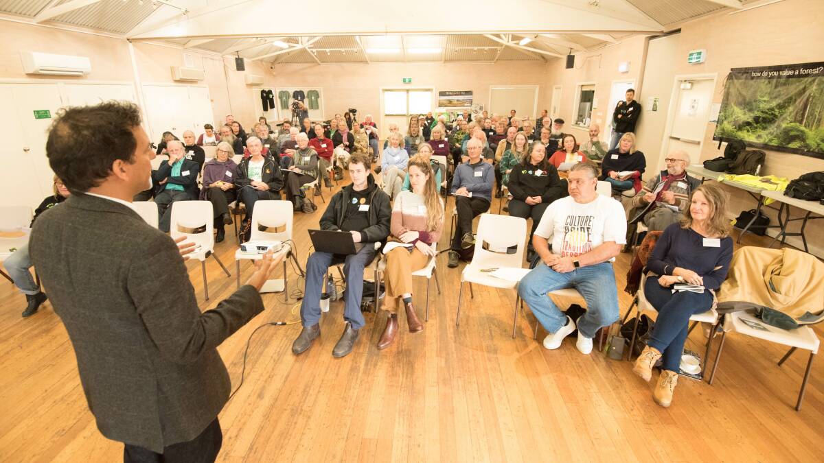 Nature Conservation Council is hosting a panel event discussing the future of logging in Australia
Photo: Gillian Tedder