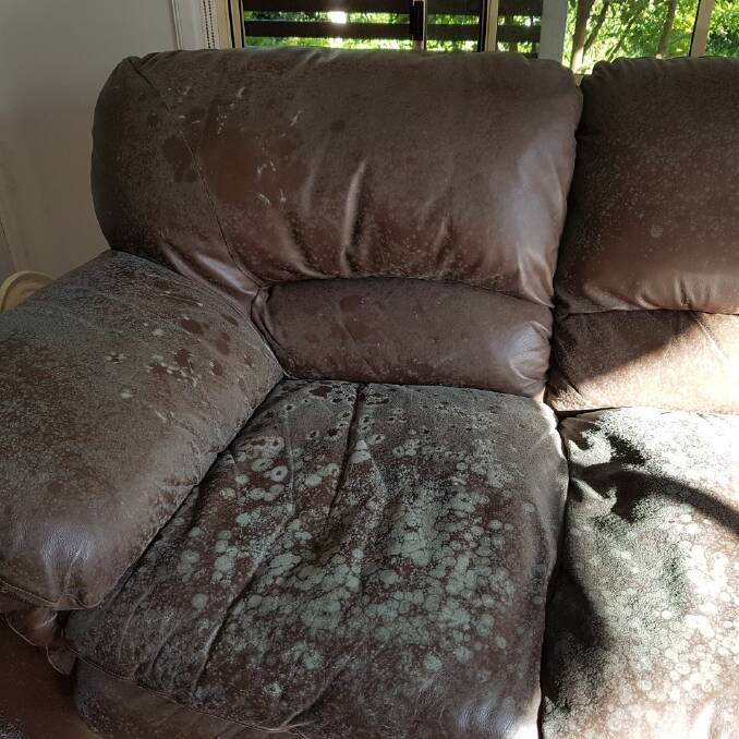 UNLIVABLE for the immunocompromised: When the Sing's returned from treatment in Canberra, they found their back couch covered in thick mould