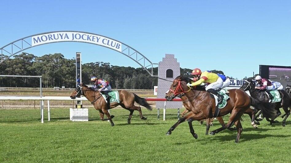 PLACE LOOKING TO RUN BIG: Peyton Place trained by Greg Stephens took home the win at Moruya back in January. Picture: Supplied. 
