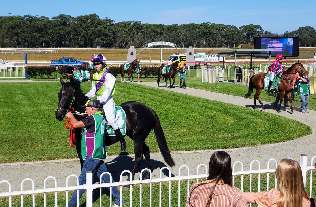 AND THEY ARE OFF: The Gates opening for the third race of the day. Picture: Supplied. 