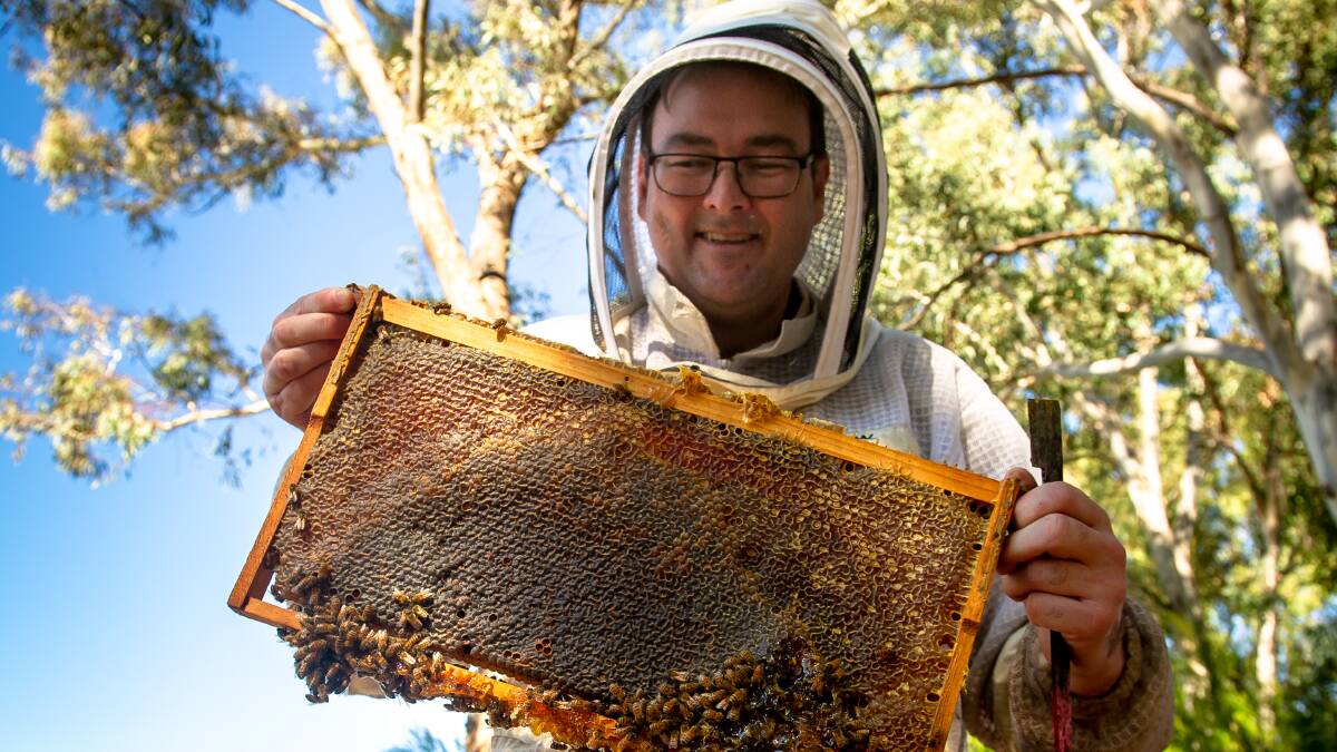 WORLD BEE DAY: Cormac Farrell is the head beekeeper at Australian Parliament House. Picture: Elesa Kurtz.