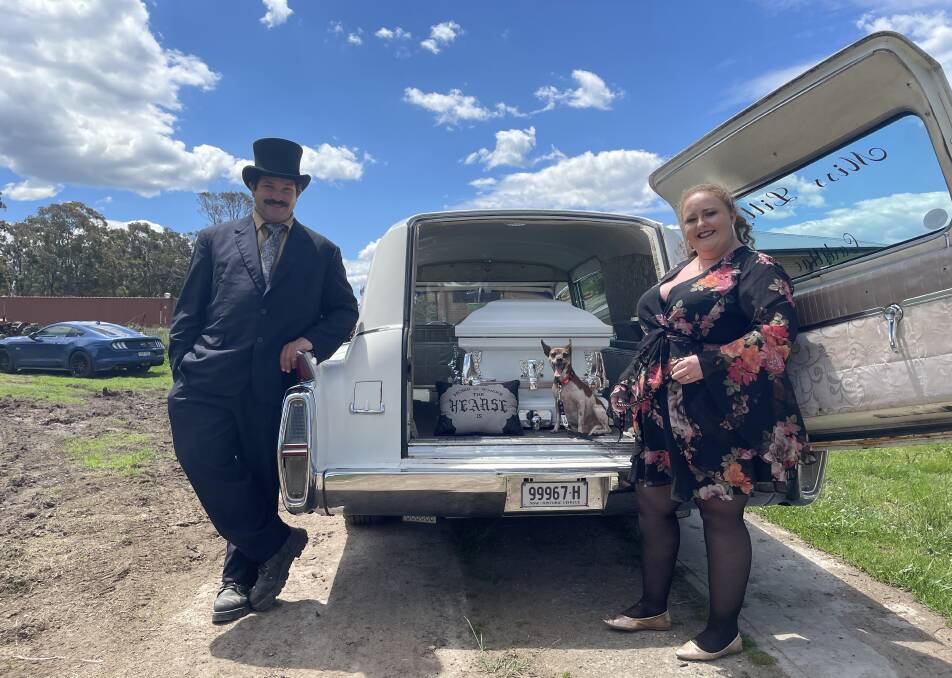 James and Justine Talevski drive their 1964 Cadillac Hearse around Clarence Town on Halloween to scare their neighbours. Picture by Angus Michie