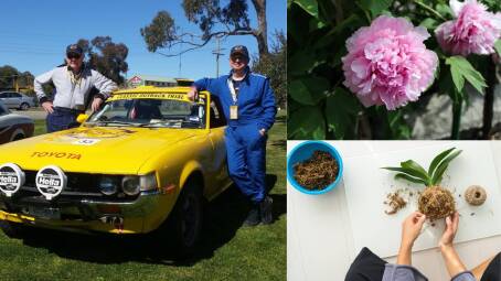 WHAT'S ON: There's plenty to do in the Eurobodalla this week, from rally driving, to Garden Club, and arts events.