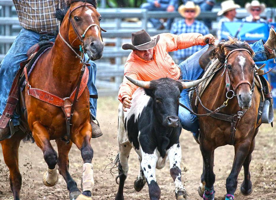 Moruya Rodeo's future operating licence was up for discussion at the Eurobodalla Shire Council meeting this week. A petition to cancel certain rodeo events was also put forth to the councillors. Picture by Jen Sol.