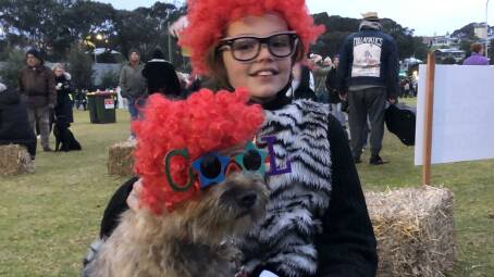 Border terrier Zak and 10-year old Oskar Feddersen won the Best Dog/Owner Costume Combination prize at the inaugural Narooma Winter Night Markets Festival on July 2.