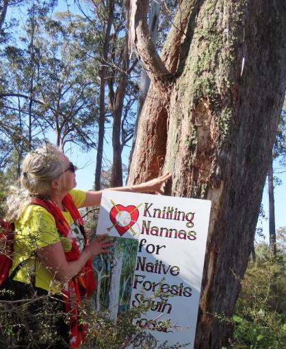 On September 3, the Knitting Nannas for Native Forests inspected den trees which Greater Gliders use as habitats in the Tallaganda State Forest. Picture supplied