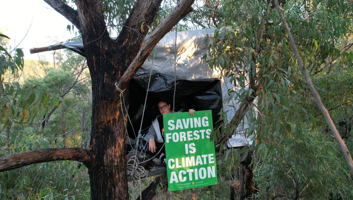 Former Ulladulla High School captain Takesa Frank in her treesit fighting to stop native forest logging at Shallow Crossing. Picture supplied.