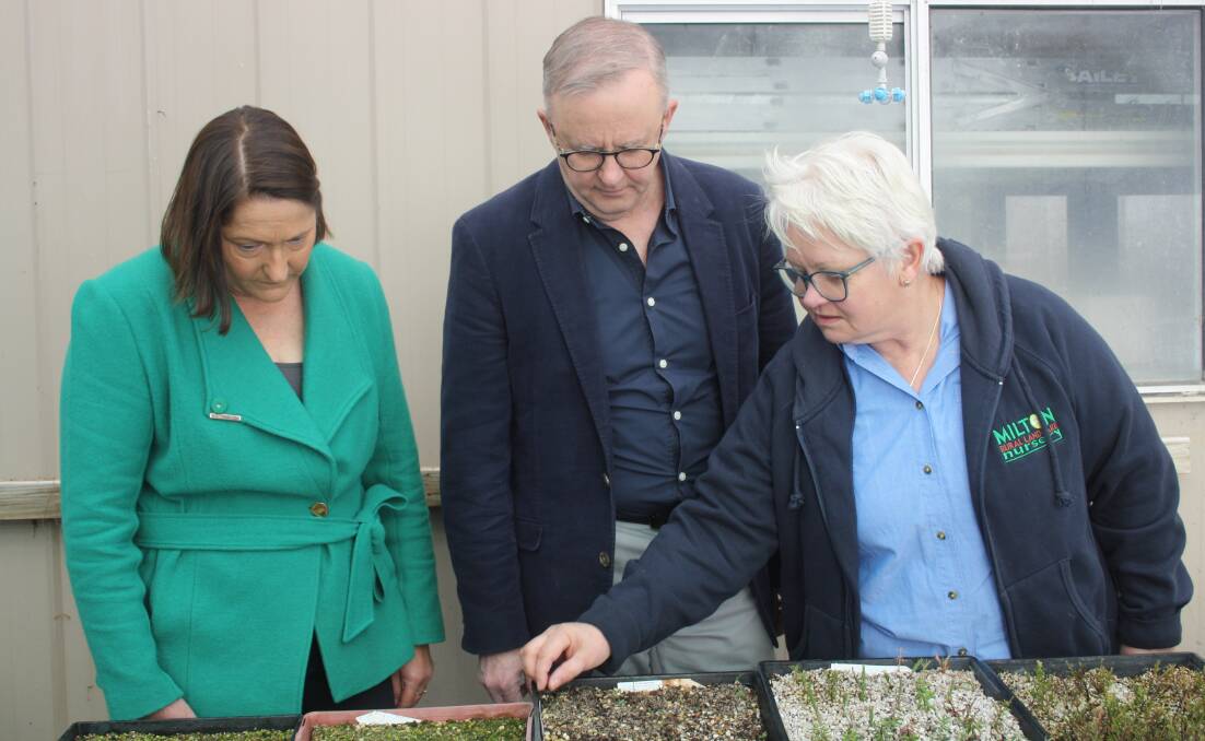 Milton Rural Landcare Nursery vice-president Penny Hand discusses propagation processes with Federal Member for Gilmore, Fiona Phillips, and Prime Minister Anthony Albanese. Picture by Glenn Ellard. 