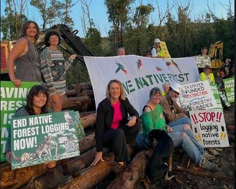 Protesters hold up signs to raise awareness about continued logging in native forests that Rural Fire Service crews had worked so hard to save only a few years earlier. Picture supplied.