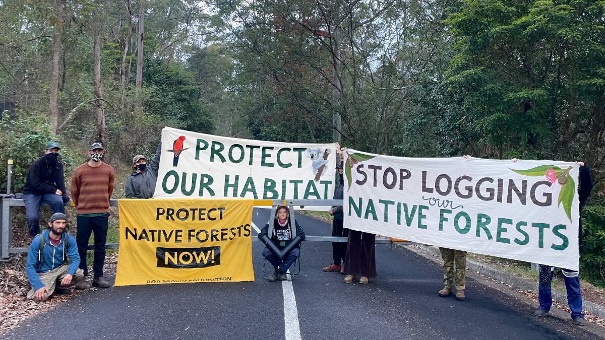 Environmental activists form a blockade at the main access road of the FCNSW headquarters in West Pennant Hills, Sydney. Picture supplied.