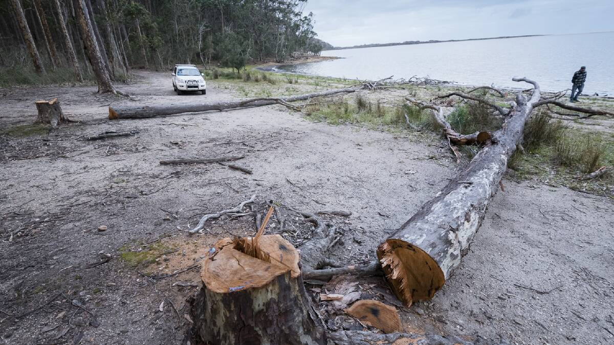 BROU CONCERN: Coastwatchers are concerned about trees felled at Brou Lake.