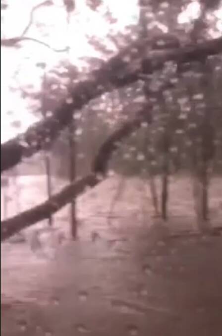 A screenshot of flooding on a creek at Congo on Monday, July 27. Trees have fallen over the Princes Highway north of Batemans Bay.
